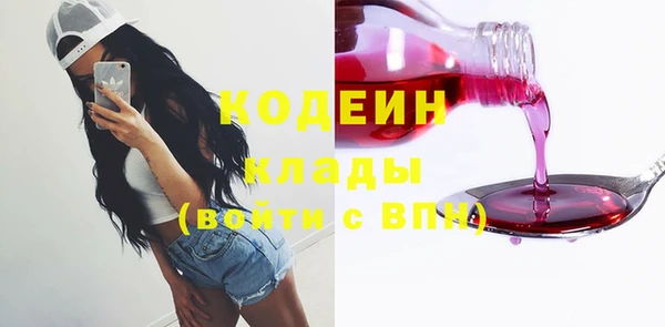 хмурый Абаза