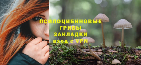 a pvp Алексеевка