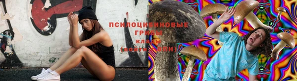a pvp Алексеевка