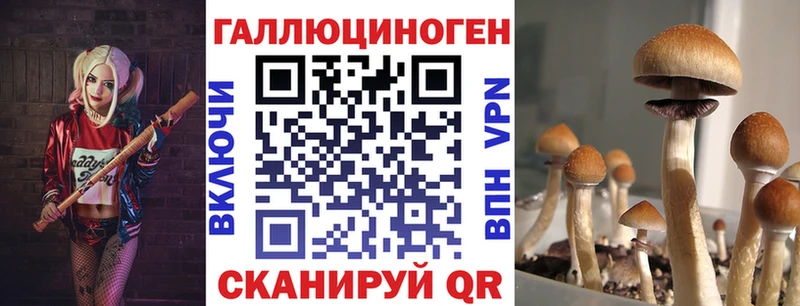 Галлюциногенные грибы мухоморы Красноармейск